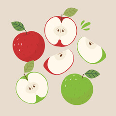 Vector fruit apple elements set