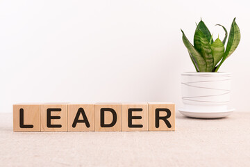 A successful team leader is a manager, general manager, market leader and other concepts of business leadership. on a table with a flower on a light background