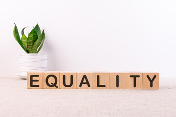 EQUALITY word made with building blocks on a light background