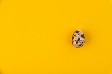 One quail egg on a yellow background - obrazy, fototapety, plakaty