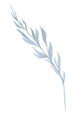 Watercolor blue twig with leaves isolated illustration, pastel wedding element