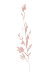 Watercolor light pink wildflowers isolated illustration, floral wedding and greeting element