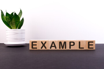 EXAMPLES word made with building blocks on a light background