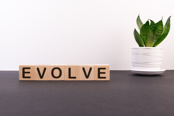 EVOLVE word made with building blocks on a light background