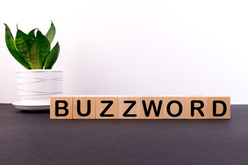 BUZZWORD word made with building blocks on a light background