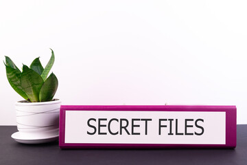secret files inscription on the Office folder on a dark desktop with a flower in a flowerpot on a...