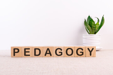 PEDAGOGY word made with building blocks on a light background
