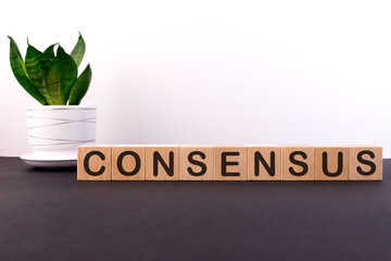 CONSENSUS word concept written on wooden cubes on a dark table with flower and light background