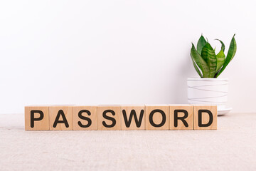 PASSWORD word made with building blocks on a light background