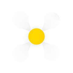 White daisy flowers cut the background