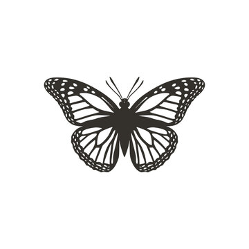 monarch butterfly vector silhouette