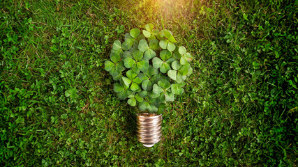 Conceptual image of energy-saving: clover plant growing in the shape of a light bulb
