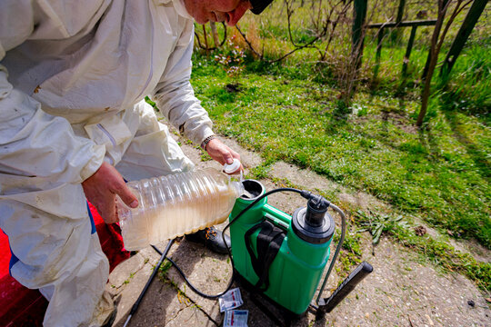 Farmer is pouring substance for sprinkling fruit trees in plastic knapsack sprayer