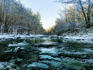 Landskapes river. River in winter