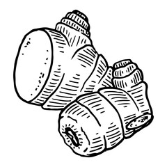 Cut ginger sketch. The root of spice plant. Healthly food. Hand drawn vector illustration.