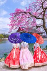Cherry Blossom with Korean national dress at Gyeongbokgung Palace Seoul, South Korea.. - 732371148