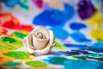 White rose on the background of a multicolored palette of paints