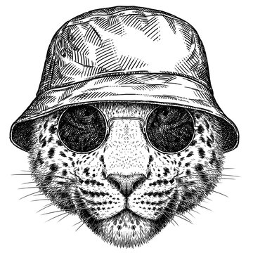 Vintage engraving isolated leopard set glasses dressed fashion panther illustration ink sketch. Africa wild cat cheetah background jaguar animal silhouette  sunglasses hipster hat art. 