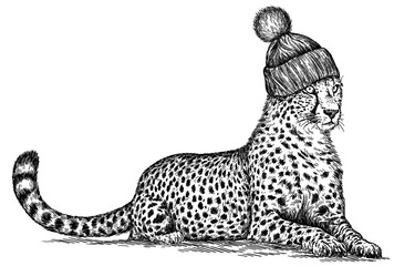 Vintage engraving isolated leopard set glasses dressed fashion panther illustration ink sketch. Africa wild cat cheetah background jaguar animal silhouette  sunglasses hipster hat art. 