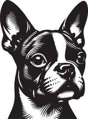 Boston terrier silhouette real in black