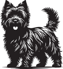 Cairn Terrier dog illustration isolated on background
