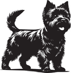 Cairn Terrier dog illustration isolated on background