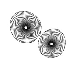 Black and white ornament flower png