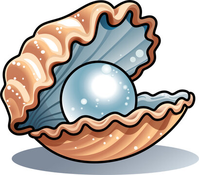 open seashell with a pearl inside, vector illustration
