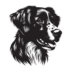 Brittany Spaniel Dog Vector Silhouette,