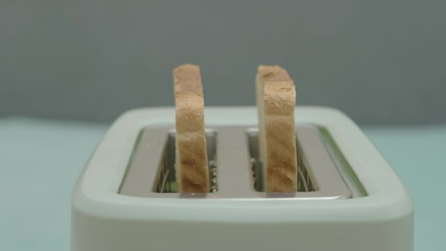 Toasts made from slices of bread pop out of the toaster, slow motion 
