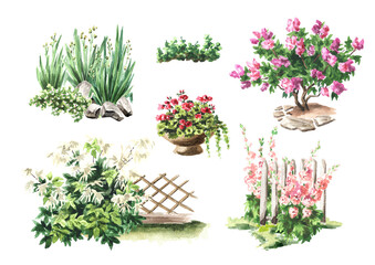 Garden blooming  flower bed set. Landscape design set. Hand drawn watercolor illustration  isolated on white background