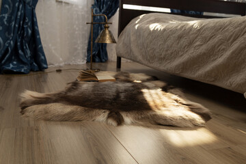 A brown reindeer skin on the bedroom floor on a sunny day. Soft light
