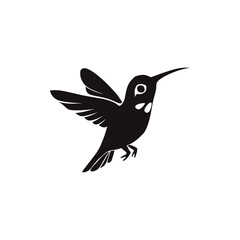Obraz premium Hummingbird vector silhouette