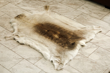 White reindeer skin with brown spots on the back on the tiled floor