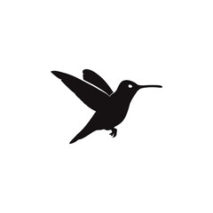 Obraz premium Hummingbird vector silhouette
