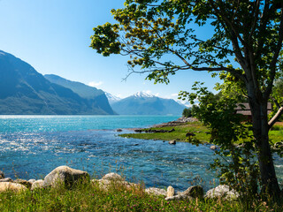 Fototapeta na wymiar Spring by the fjord in west Norway