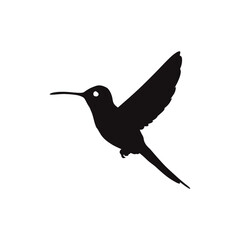 Obraz premium Hummingbird vector silhouette