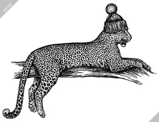Vintage engraving isolated leopard set glasses dressed fashion panther illustration ink sketch. Africa wild cat cheetah background jaguar animal silhouette sunglasses hipster hat art. Vector image