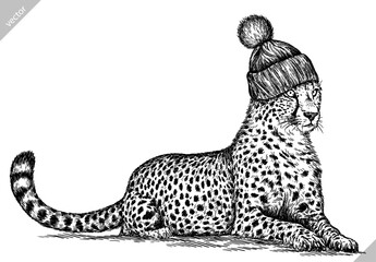 Vintage engraving isolated leopard set glasses dressed fashion panther illustration ink sketch. Africa wild cat cheetah background jaguar animal silhouette sunglasses hipster hat art. Vector image