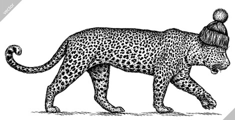 Vintage engraving isolated leopard set glasses dressed fashion panther illustration ink sketch. Africa wild cat cheetah background jaguar animal silhouette sunglasses hipster hat art. Vector image