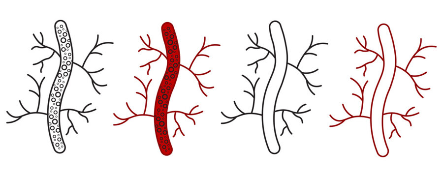 blood vessel glyph icon. Artery set symbol design vector ilustration.