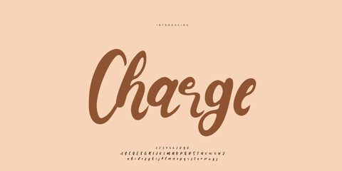 signature Font Calligraphy Logotype Script Brush Font Type Font lettering handwritten	
