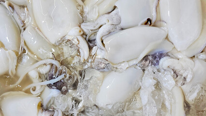 Chilled, fresh squid showcased on ice, ready for culinary use in gourmet seafood dishes