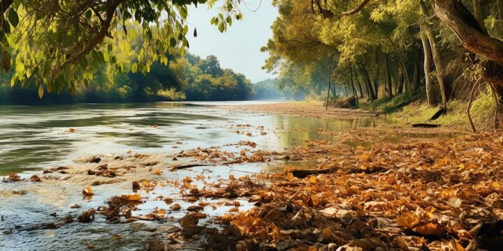A river with lots of leaves on the bank. Can be used to depict the beauty of nature or as a background for environmental themes