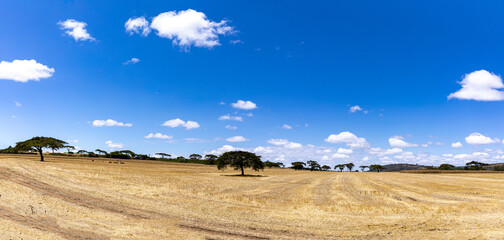 landscape with sky and clouds