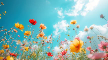 Crédence de cuisine en verre imprimé Turquoise Wild spring flowers with blur effect