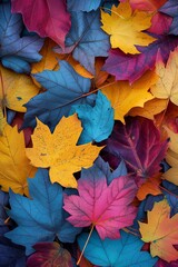 a pile of colorful autumn leaves, in the style of canvas texture emphasis, vibrant, color photography pioneer, decorative backgrounds, dark azure and magenta, light yellow and dark orange.