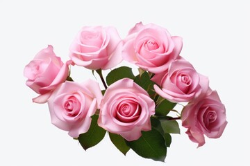 A beautiful bouquet of pink roses on a clean white background. Perfect for adding a touch of elegance to any project or design