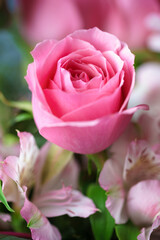 バラの花　マクロイメージ