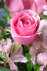 バラの花　マクロイメージ